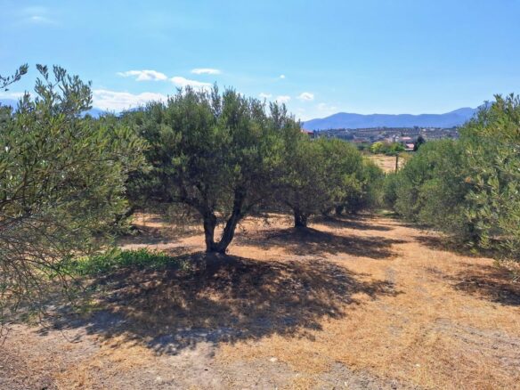 Large Plot Near University General Hospital Of Heraklion – Build Up To 1874 M2
