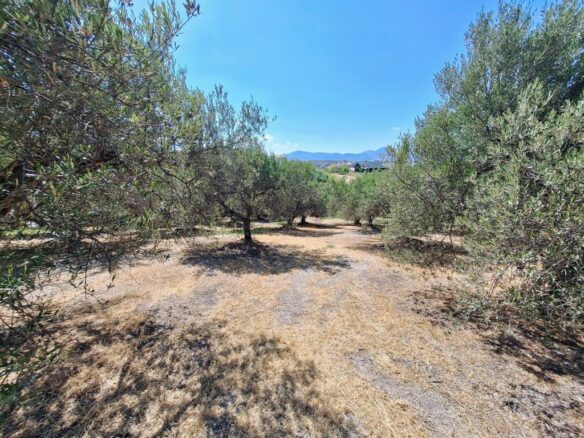 Large Plot Near University General Hospital Of Heraklion – Build Up To 1874 M2