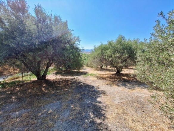 Large Plot Near University General Hospital Of Heraklion – Build Up To 1874 M2