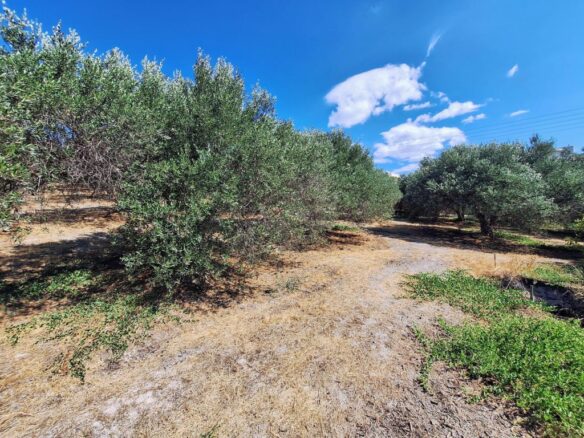 Large Plot Near University General Hospital Of Heraklion – Build Up To 1874 M2