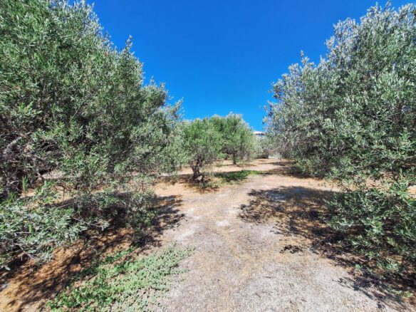 Large Plot Near University General Hospital Of Heraklion – Build Up To 1874 M2
