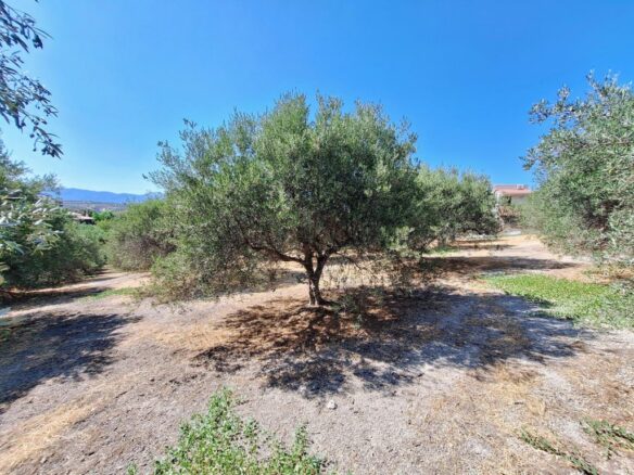 Large Plot Near University General Hospital Of Heraklion – Build Up To 1874 M2