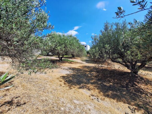 Large Plot Near University General Hospital Of Heraklion – Build Up To 1874 M2