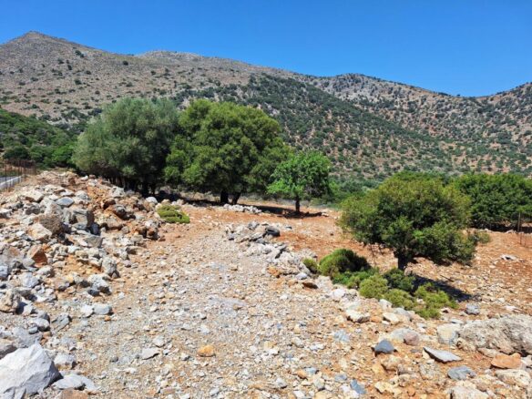 Building Plot For Sale – 6250 M2 Near Malia, Crete
