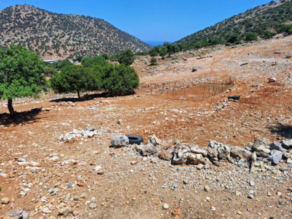 Building Plot For Sale – 6250 M2 Near Malia, Crete