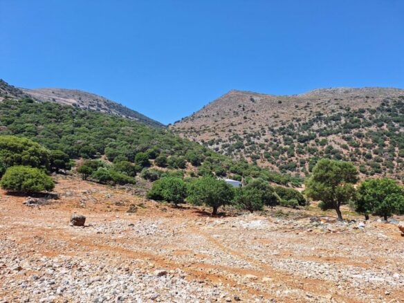 Building Plot For Sale – 6250 M2 Near Malia, Crete