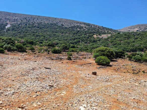 Building Plot For Sale – 6250 M2 Near Malia, Crete