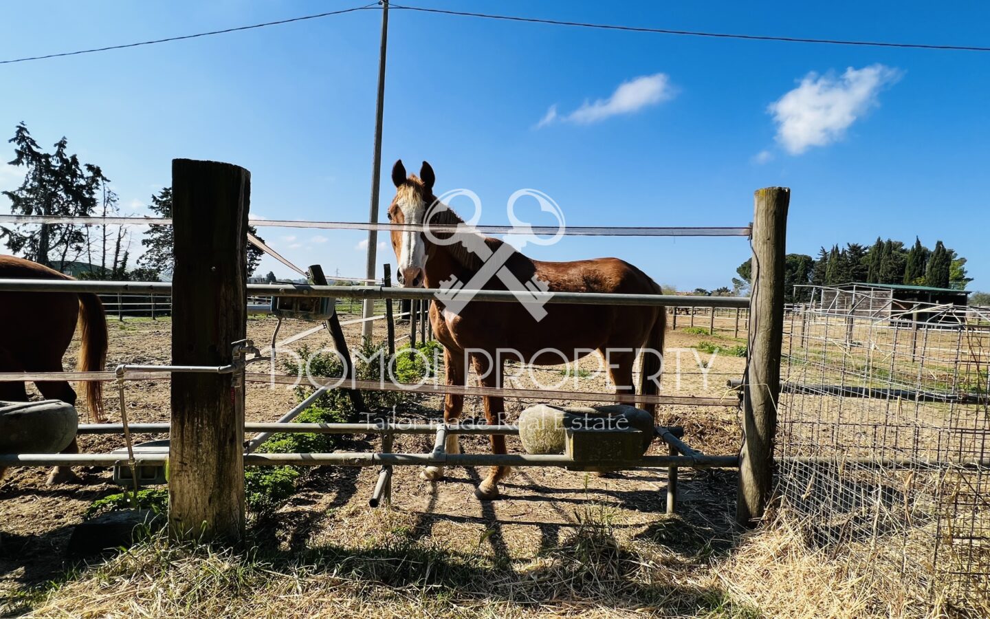 Azienda Agrituristica – Villa Rosignano Marittimo (livorno)