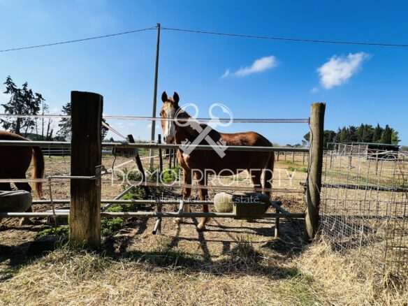 Azienda Agrituristica – Villa Rosignano Marittimo (livorno)