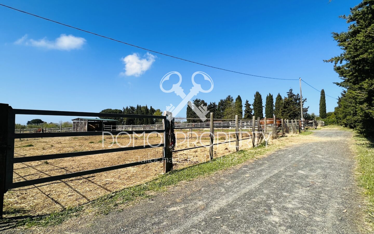 Azienda Agrituristica – Villa Rosignano Marittimo (livorno)