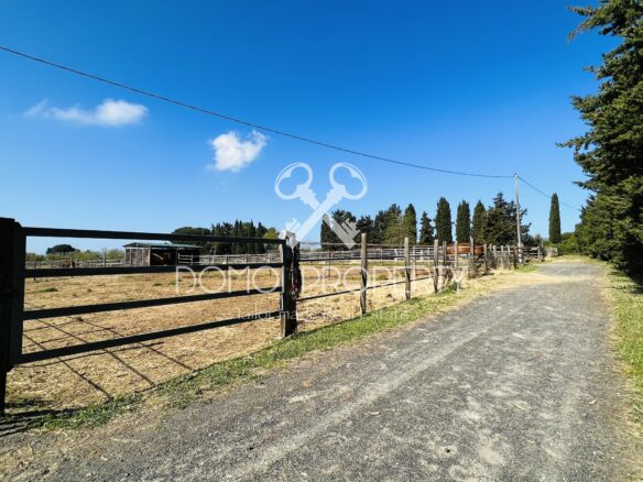 Azienda Agrituristica – Villa Rosignano Marittimo (livorno)