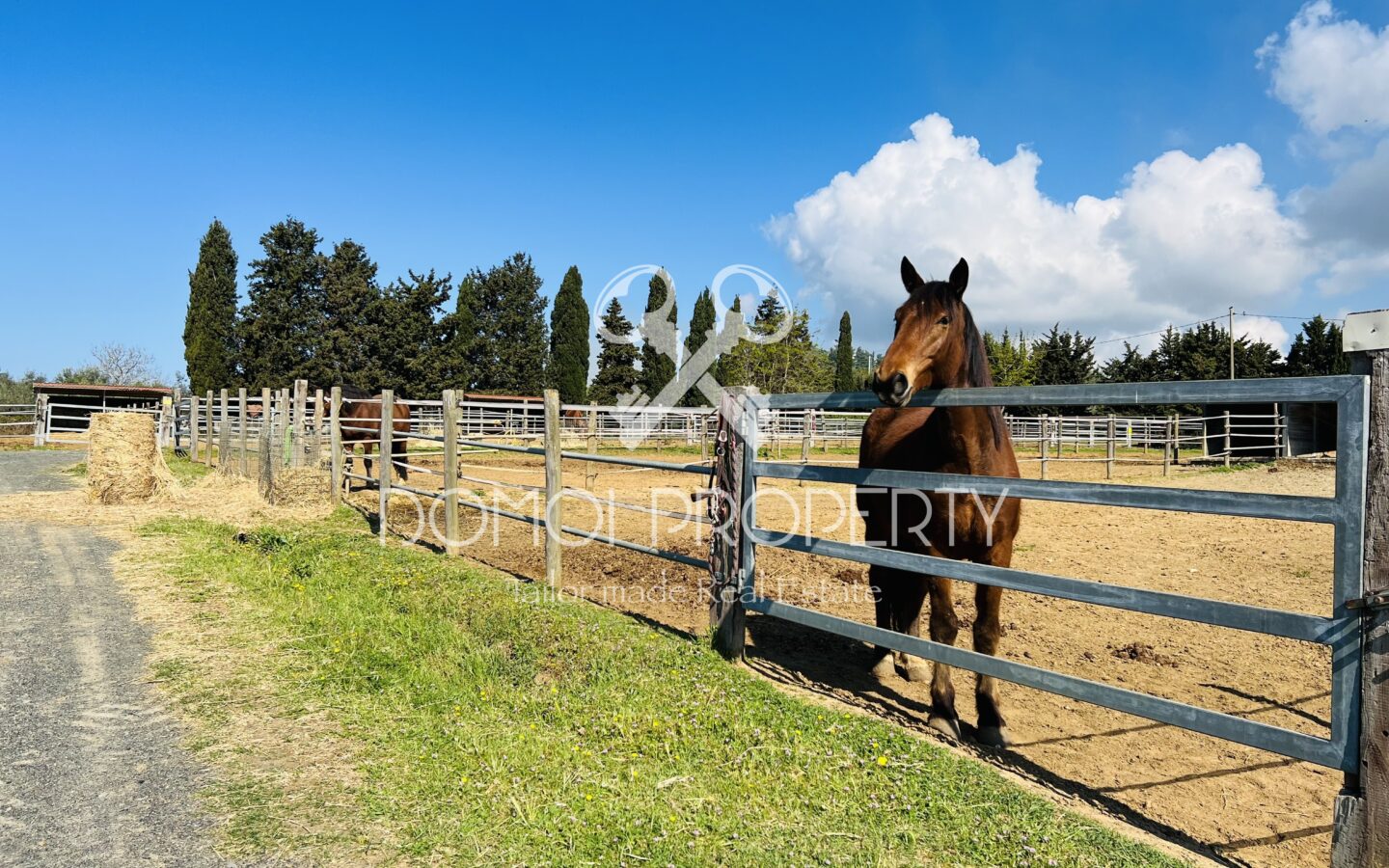 Azienda Agrituristica – Villa Rosignano Marittimo (livorno)