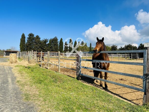 Azienda Agrituristica – Villa Rosignano Marittimo (livorno)
