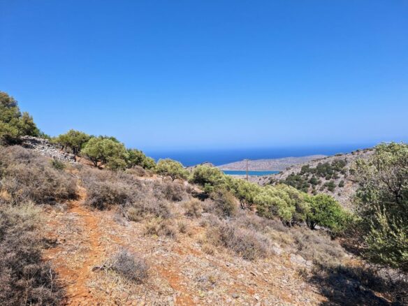 4250 M2 Building Plot For Sale Near Chavgas, Lasithi, Crete