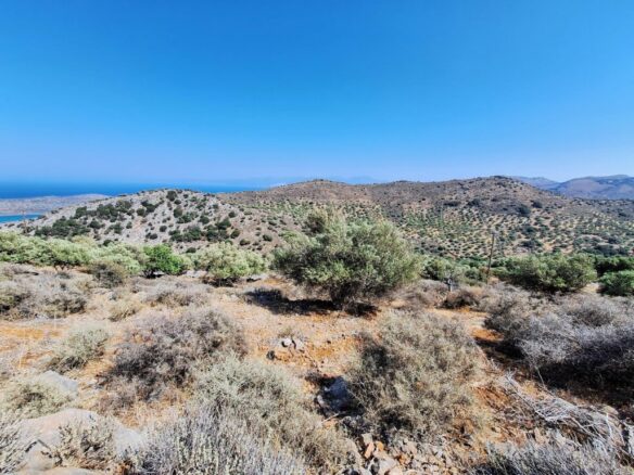 4250 M2 Building Plot For Sale Near Chavgas, Lasithi, Crete