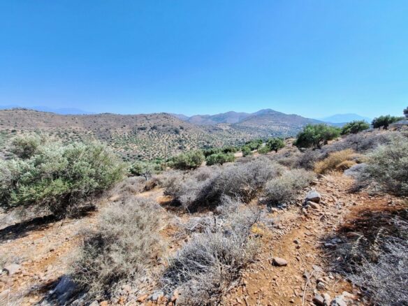4250 M2 Building Plot For Sale Near Chavgas, Lasithi, Crete