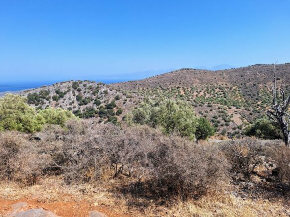 4250 M2 Building Plot For Sale Near Chavgas, Lasithi, Crete