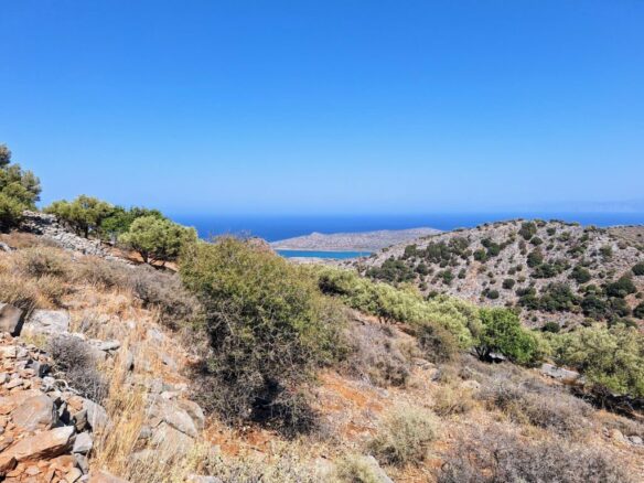 4250 M2 Building Plot For Sale Near Chavgas, Lasithi, Crete