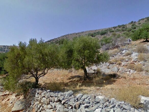 4250 M2 Building Plot For Sale Near Chavgas, Lasithi, Crete