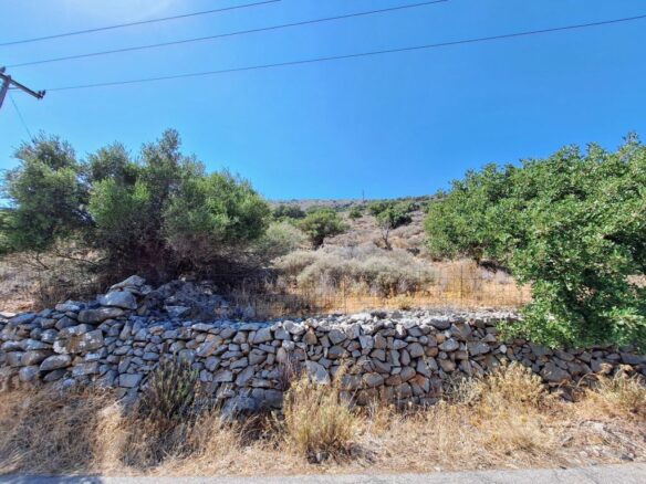 4250 M2 Building Plot For Sale Near Chavgas, Lasithi, Crete