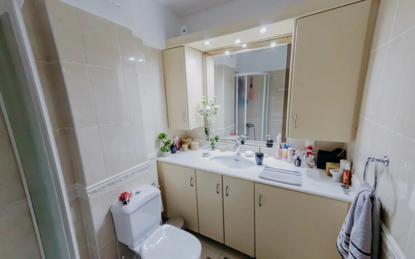 Flat In Greece (78 M²)