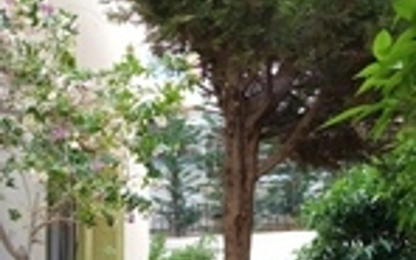 Detached House Of 300 M² With Garden In Neoclassical