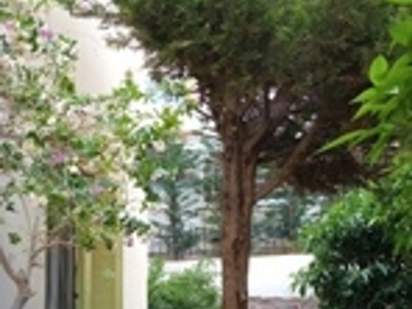 Detached House Of 300 M² With Garden In Neoclassical