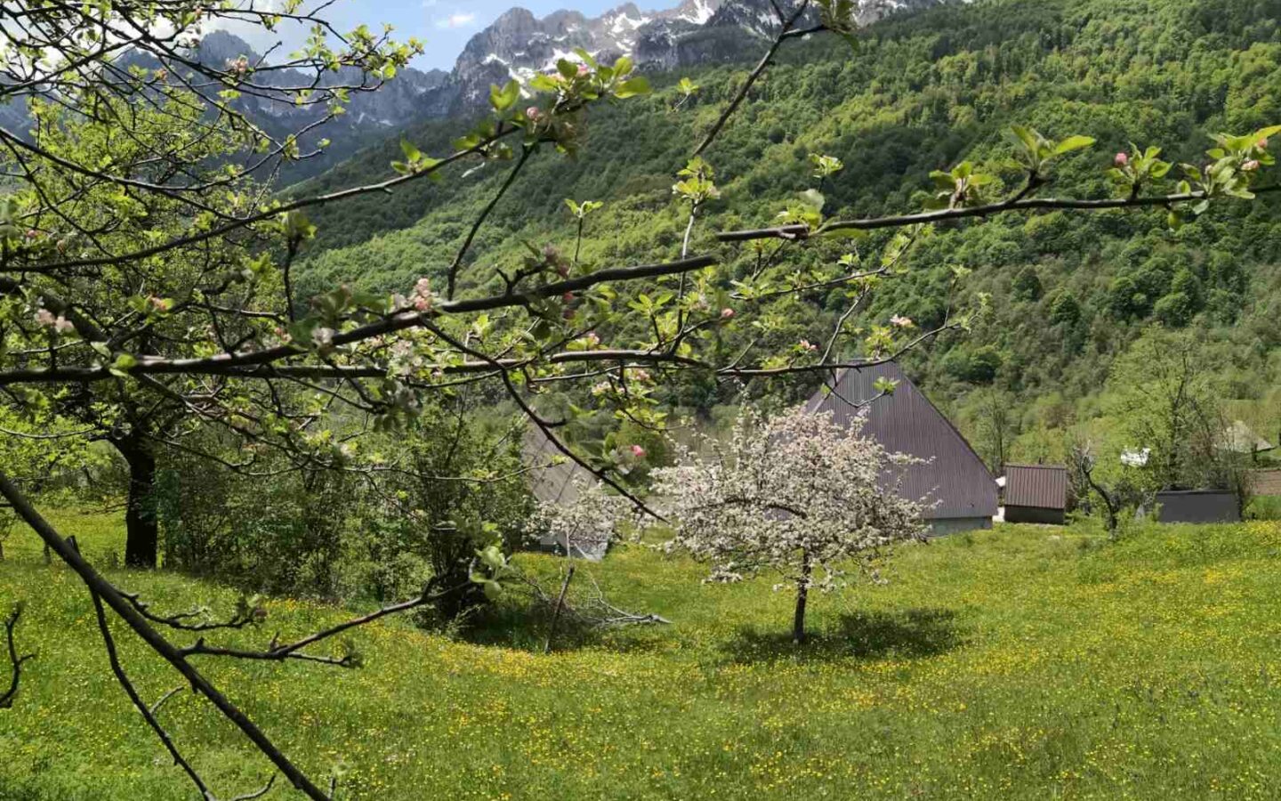Buildable Land Of 6,569 M² In Gornje Lipovo, Kolašin, Montenegro