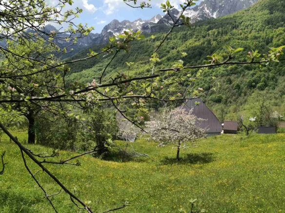 Buildable Land Of 6,569 M² In Gornje Lipovo, Kolašin, Montenegro