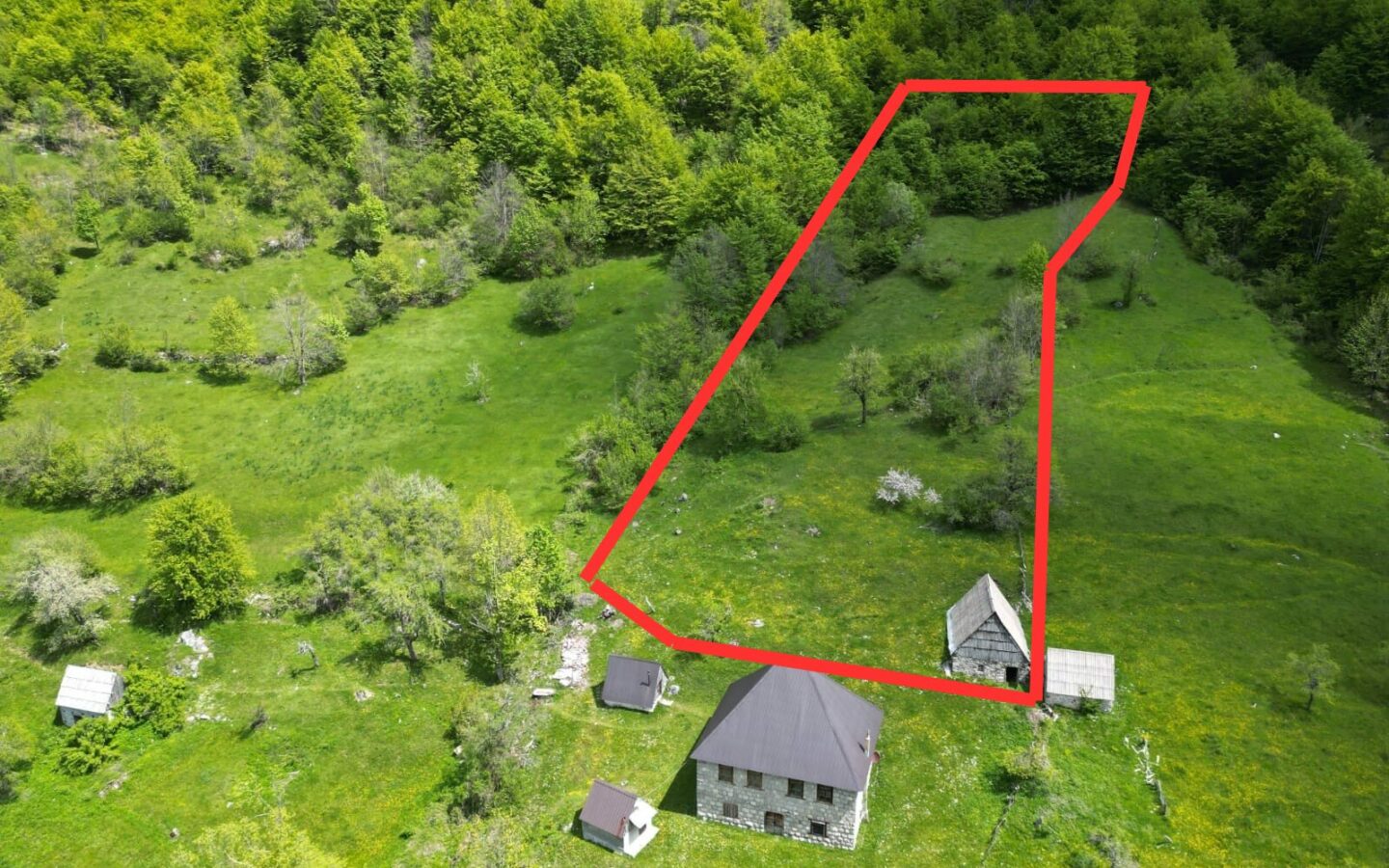 Buildable Land Of 6,569 M² In Gornje Lipovo, Kolašin, Montenegro