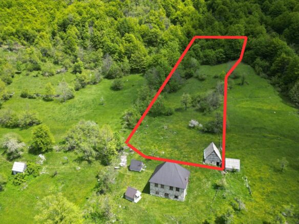 Buildable Land Of 6,569 M² In Gornje Lipovo, Kolašin, Montenegro