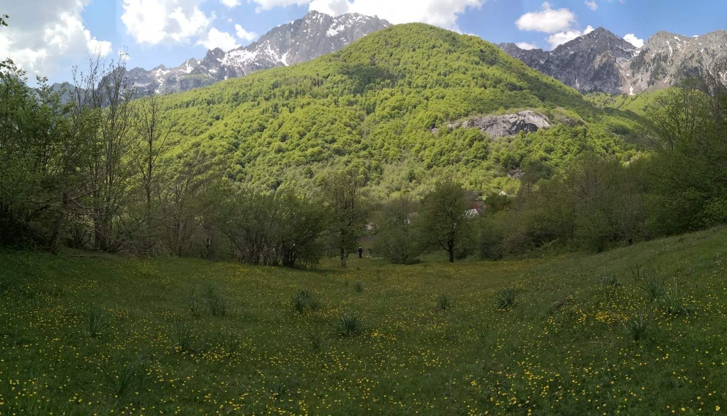 Buildable Land Of 6,569 M² In Gornje Lipovo, Kolašin, Montenegro
