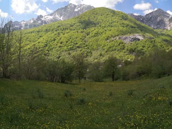 Buildable Land Of 6,569 M² In Gornje Lipovo, Kolašin, Montenegro