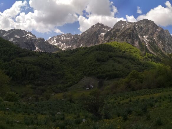 Land Of 32,013 M² In Kolašin, Montenegro