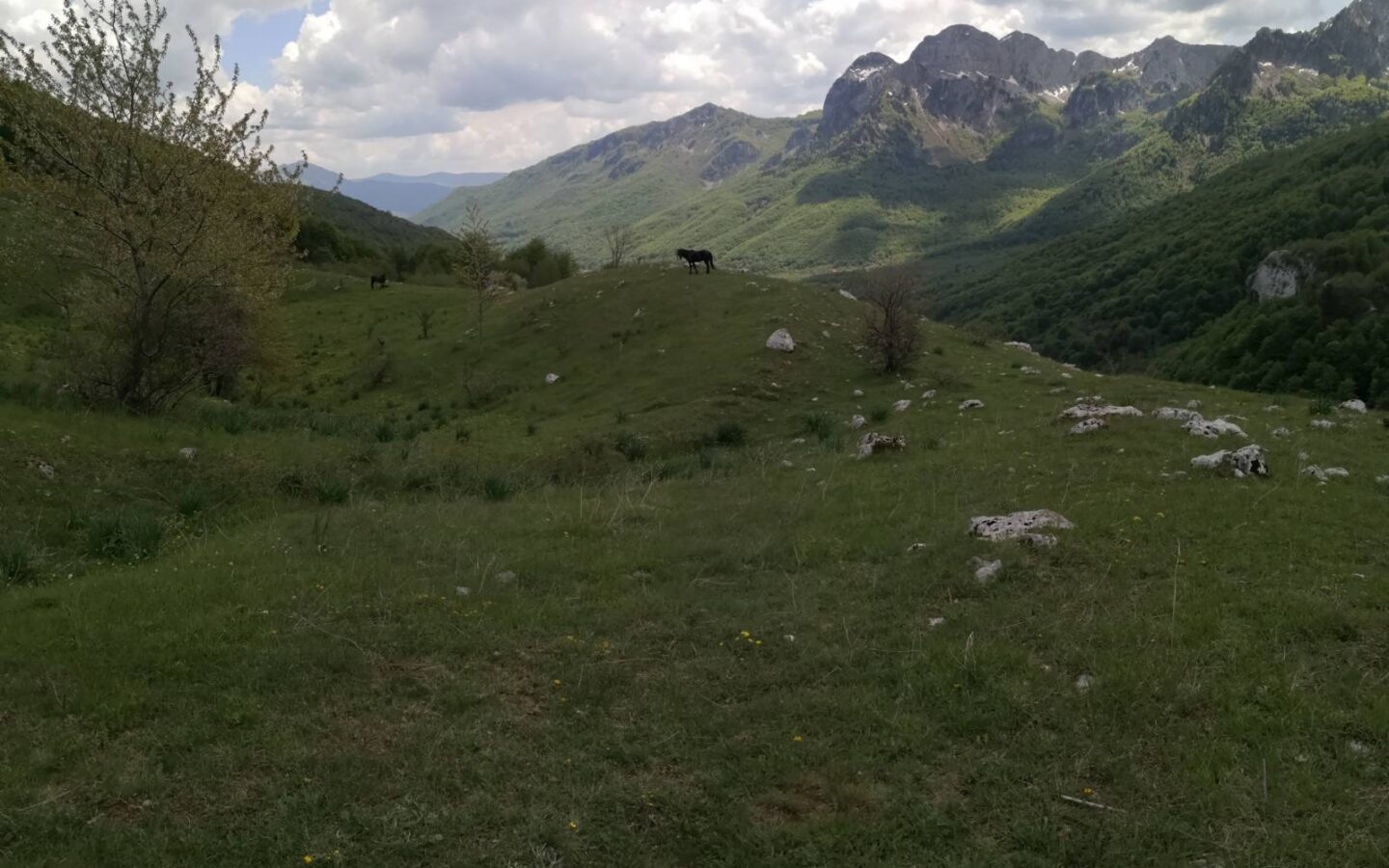 Land Of 32,013 M² In Kolašin, Montenegro
