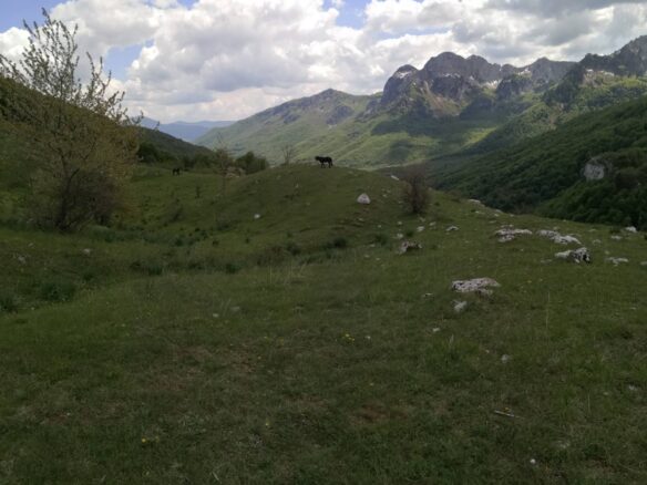 Land Of 32,013 M² In Kolašin, Montenegro