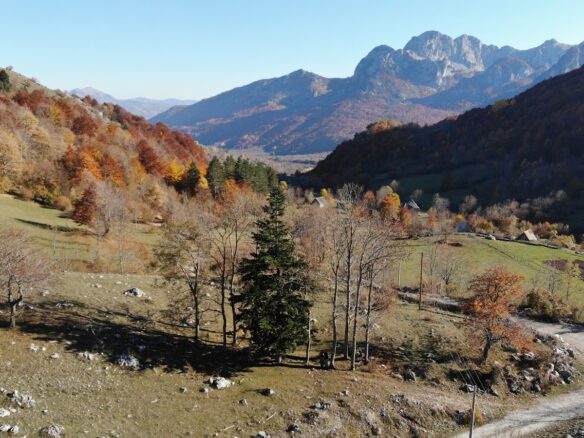 Land Of 32,013 M² In Kolašin, Montenegro