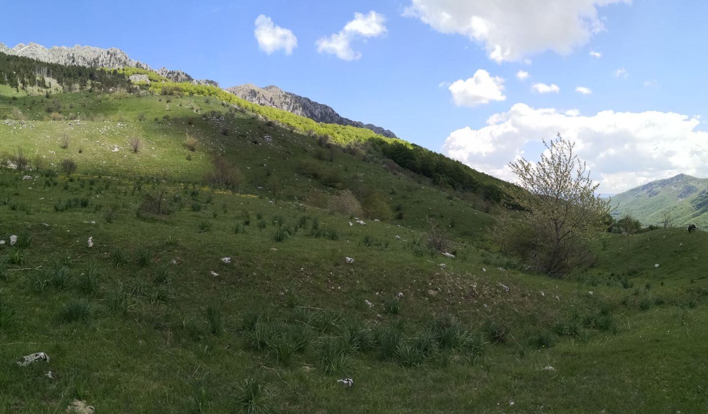 Land Of 32,013 M² In Kolašin, Montenegro