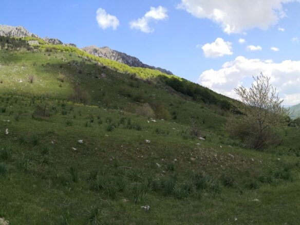 Land Of 32,013 M² In Kolašin, Montenegro