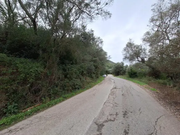 Land In Corfu, Greece