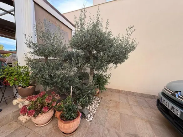 3-bedroom Villa In Los Montesinos, Spain (110 M²)