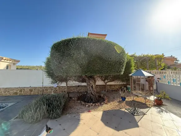 3-bedroom Villa In San Miguel De Salinas, Spain (170 M²)