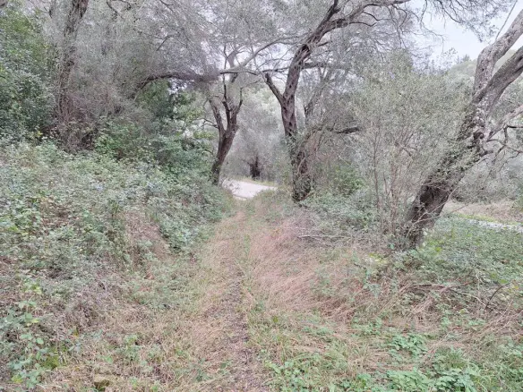 Land In Corfu, Greece