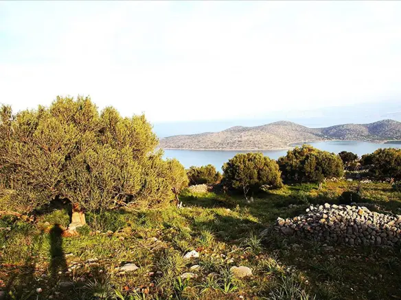 Land In Agios Nikolaos, Greece