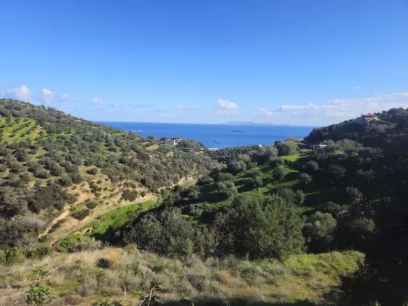 Land In Gazi, Greece