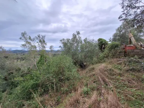 Land In Corfu, Greece