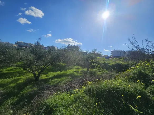 Land In Gazi, Greece