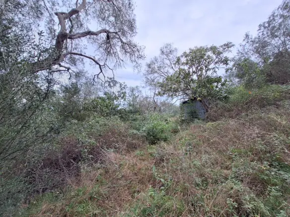 Land In Corfu, Greece