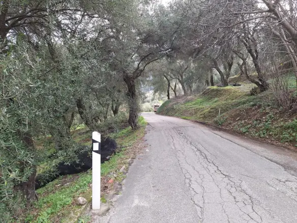 Land In Corfu, Greece