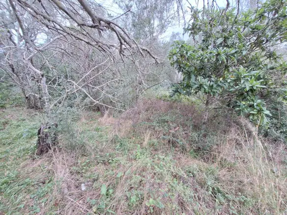 Land In Corfu, Greece